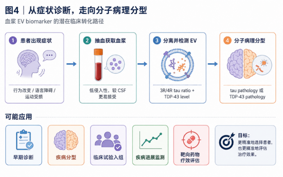 细胞外囊泡里的 tau 和 TDP-43：神经退行性疾病生物标志物研究新进展